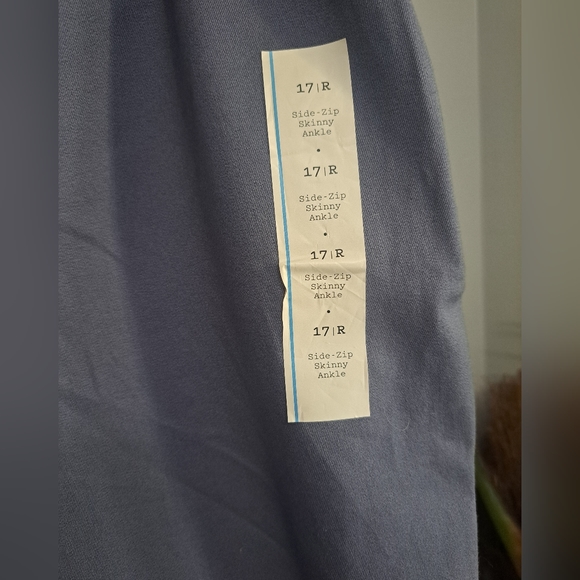 A New Day Skinny Ankle High-Rise Pants Fitted Hip & Thigh Stretch Size 17R - NWT - Picture 8 of 8